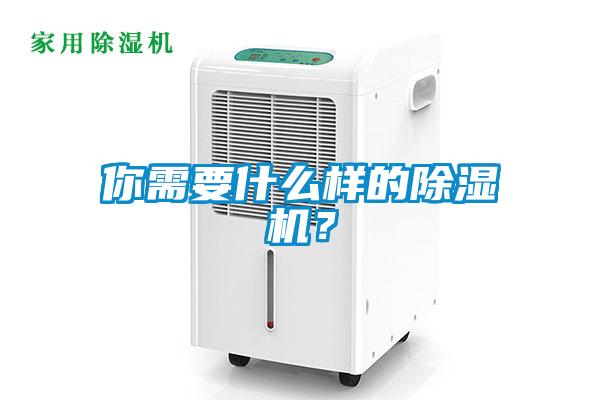 你需要什么樣的除濕機？