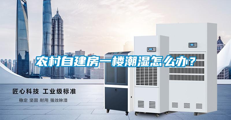 農村自建房一樓潮濕怎么辦？