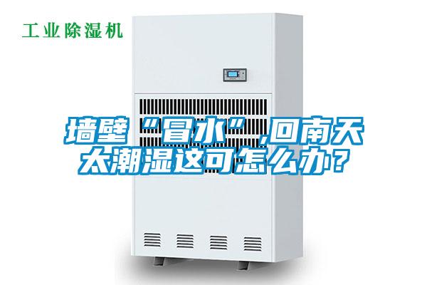 墻壁“冒水”,回南天太潮濕這可怎么辦？