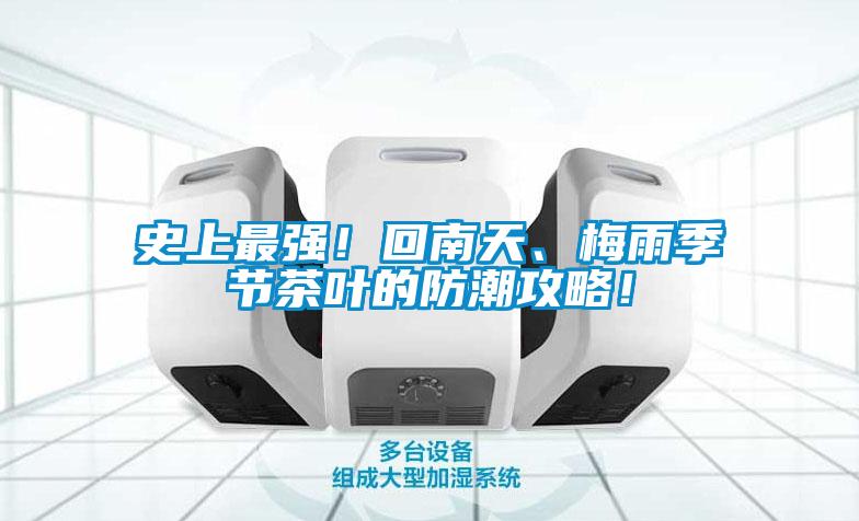 史上最強！回南天、梅雨季節茶葉的防潮攻略！