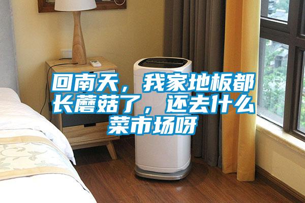 回南天，我家地板都長蘑菇了，還去什么菜市場(chǎng)呀