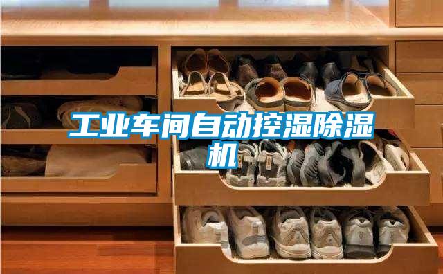 工業(yè)車(chē)間自動(dòng)控濕除濕機(jī)