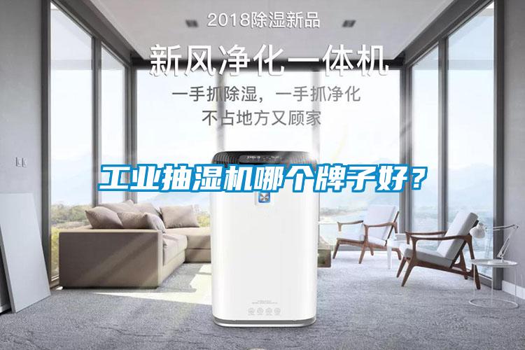 工業(yè)抽濕機哪個牌子好？