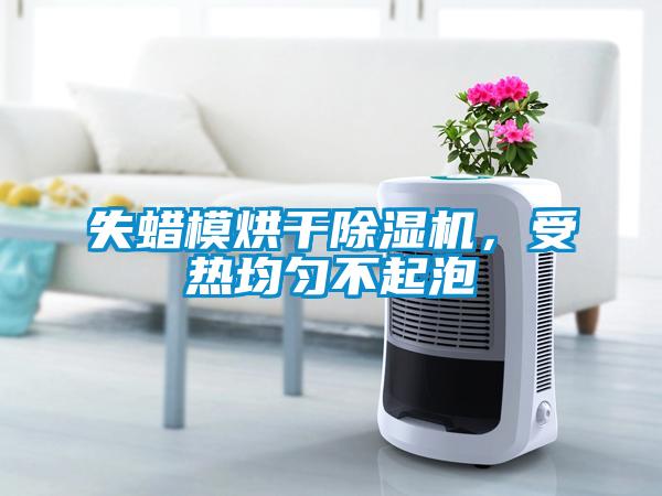 失蠟模烘干除濕機，受熱均勻不起泡