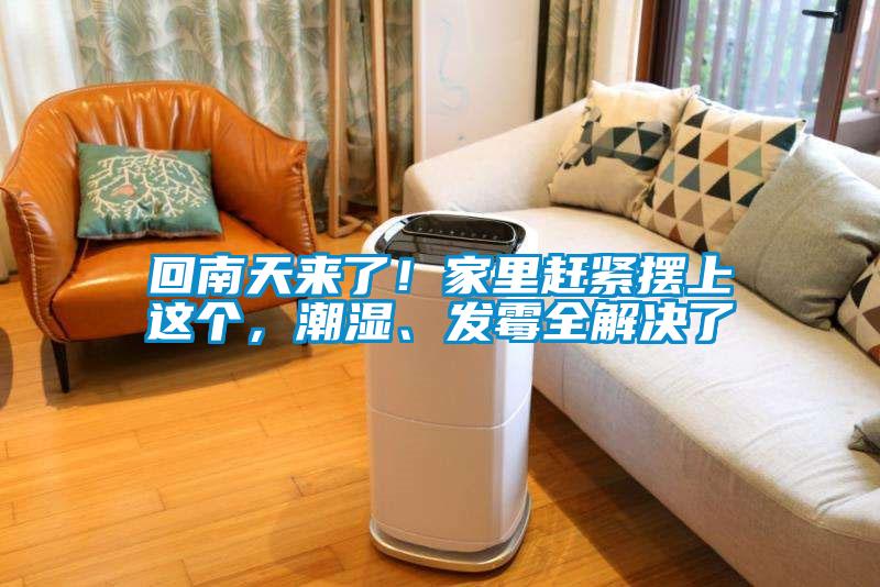 回南天來了！家里趕緊擺上這個，潮濕、發(fā)霉全解決了