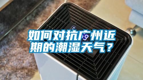 如何對抗廣州近期的潮濕天氣？