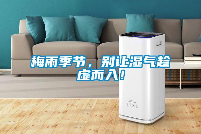 梅雨季節，別讓濕氣趁虛而入！