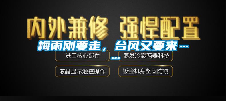 梅雨剛要走，臺風(fēng)又要來……