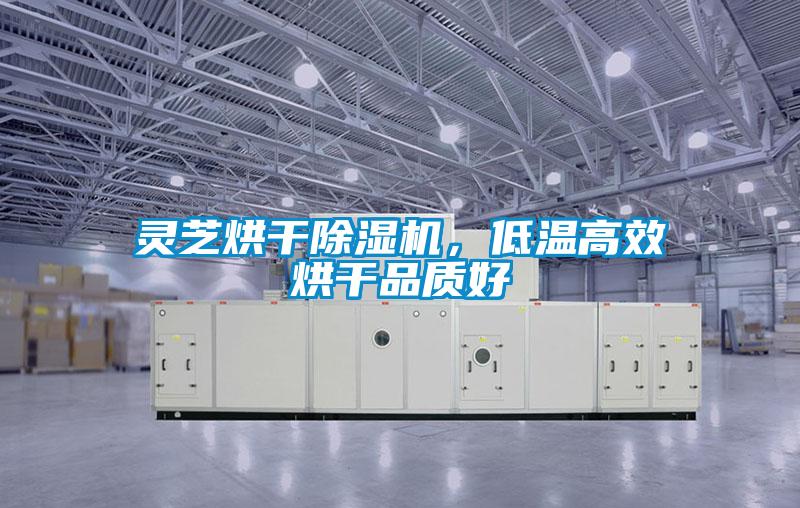 靈芝烘干除濕機，低溫高效烘干品質好