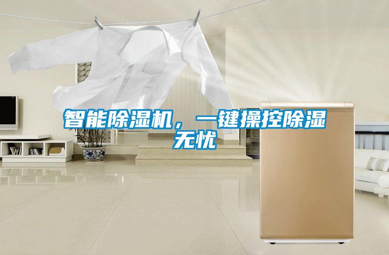 智能除濕機,一鍵操控除濕無憂