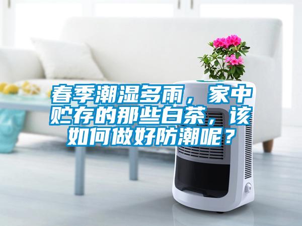 春季潮濕多雨，家中貯存的那些白茶，該如何做好防潮呢？