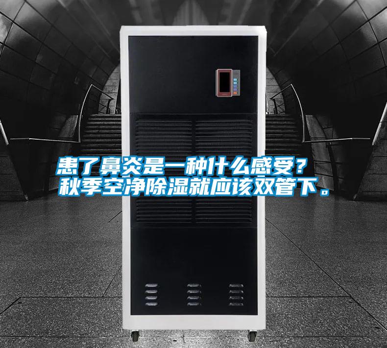 患了鼻炎是一種什么感受？ 秋季空凈除濕就應該雙管下。