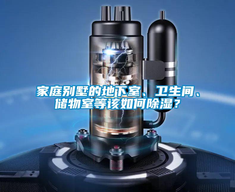 家庭別墅的地下室、衛生間、儲物室等該如何除濕?
