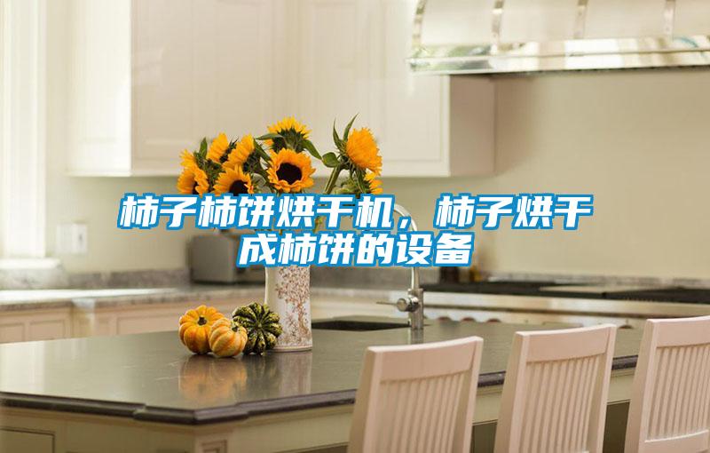 柿子柿餅烘干機，柿子烘干成柿餅的設備