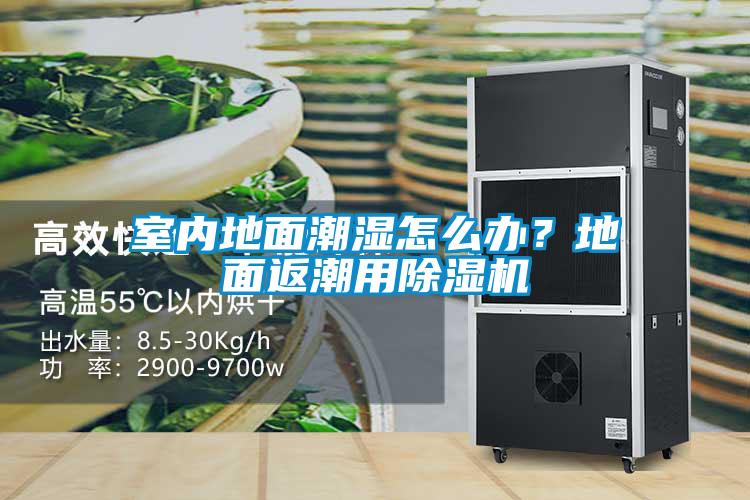 室內地面潮濕怎么辦？地面返潮用除濕機