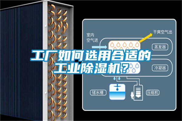 工廠如何選用合適的工業除濕機？