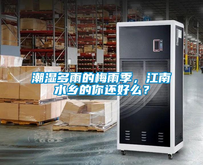 潮濕多雨的梅雨季，江南水鄉的你還好么？