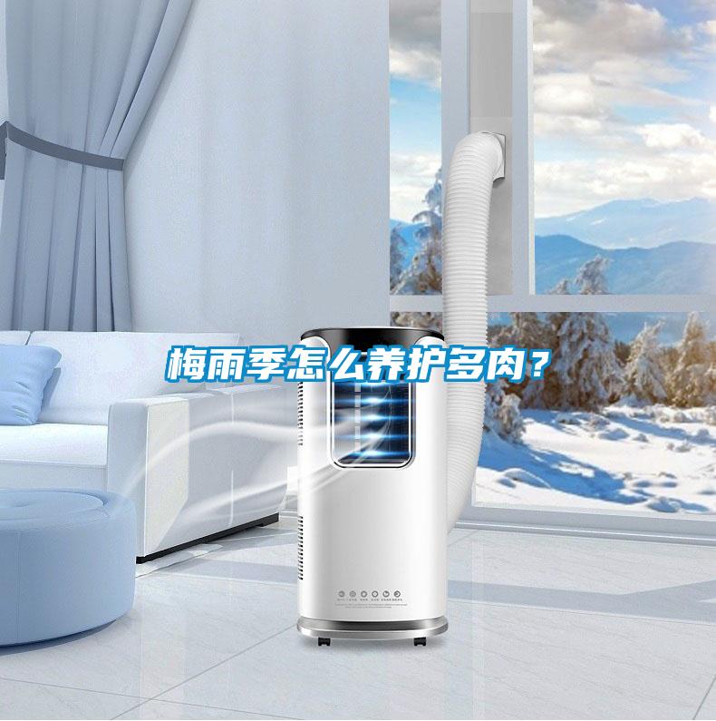 梅雨季怎么養(yǎng)護(hù)多肉？