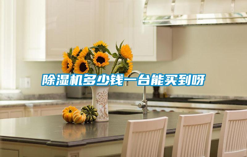 除濕機(jī)多少錢一臺(tái)能買到呀