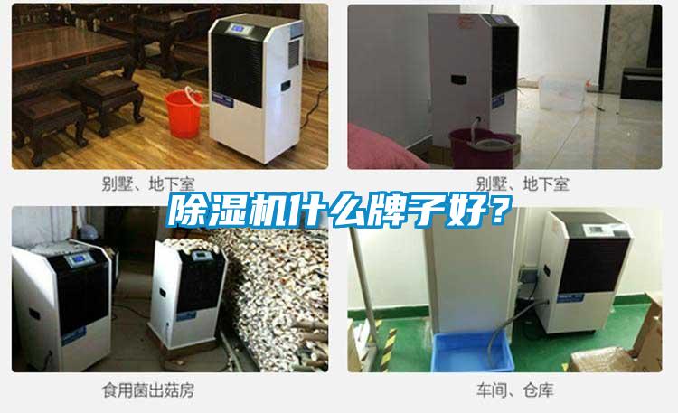 除濕機什么牌子好？