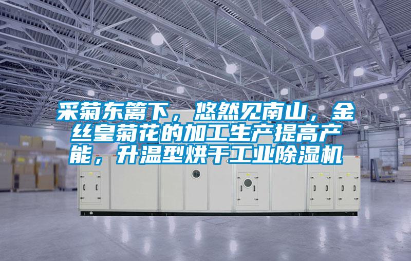 采菊東籬下，悠然見南山，金絲皇菊花的加工生產(chǎn)提高產(chǎn)能，升溫型烘干工業(yè)除濕機