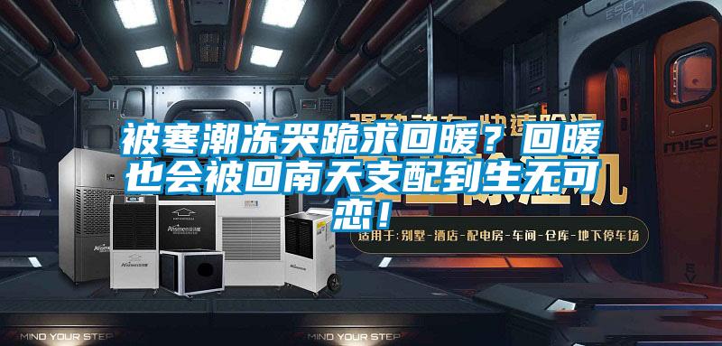 被寒潮凍哭跪求回暖？回暖也會被回南天支配到生無可戀！