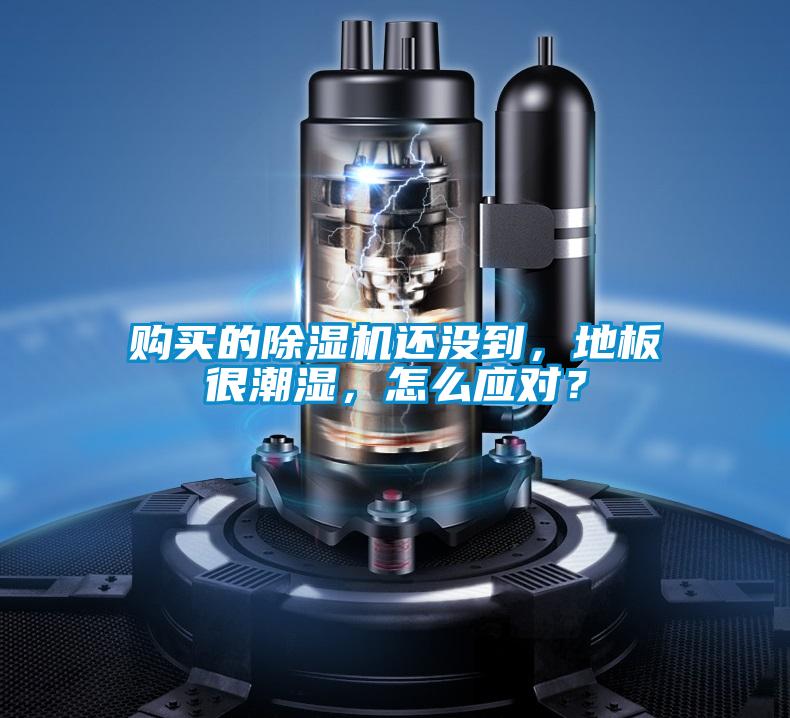 購買的除濕機還沒到，地板很潮濕，怎么應對？