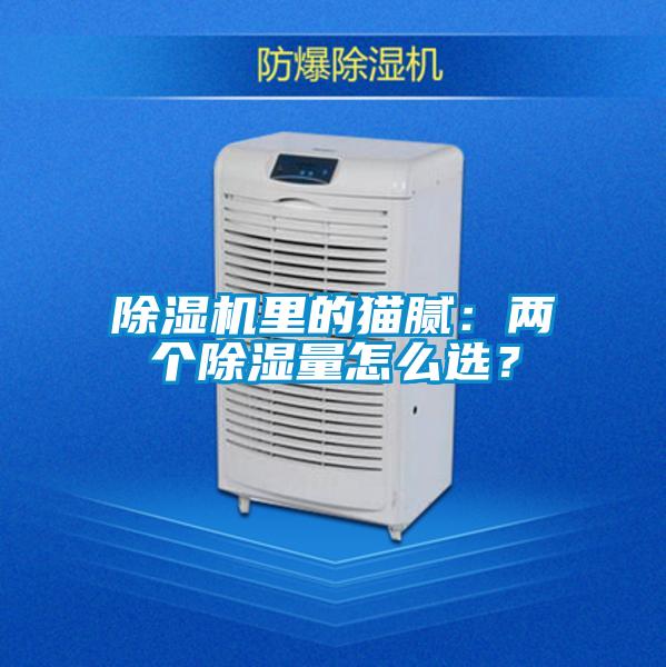 除濕機(jī)里的貓膩：兩個除濕量怎么選？