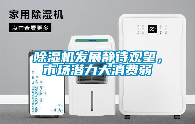 除濕機發(fā)展靜待觀望，市場潛力大消費弱