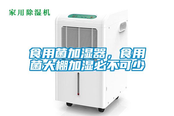 食用菌加濕器，食用菌大棚加濕必不可少