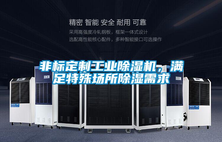 非標(biāo)定制工業(yè)除濕機(jī)，滿足特殊場所除濕需求