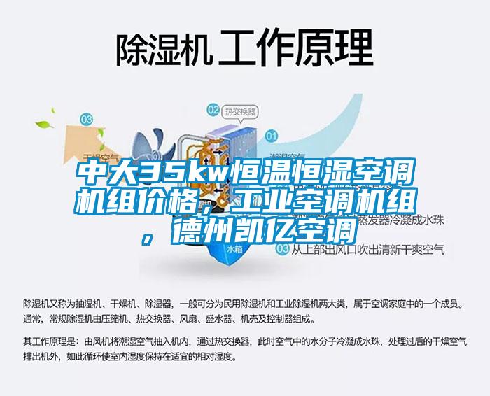 中大35kw恒溫恒濕空調(diào)機(jī)組價格，工業(yè)空調(diào)機(jī)組，德州凱億空調(diào)