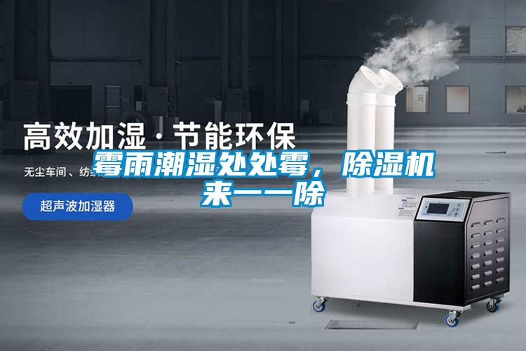 霉雨潮濕處處霉，除濕機來一一除