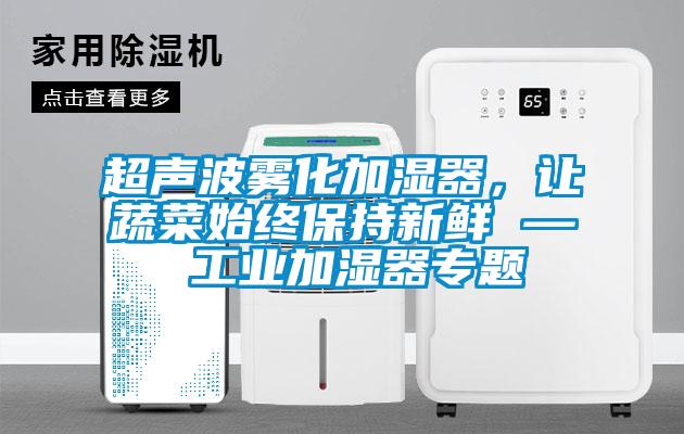 超聲波霧化加濕器，讓蔬菜始終保持新鮮 — 工業加濕器專題