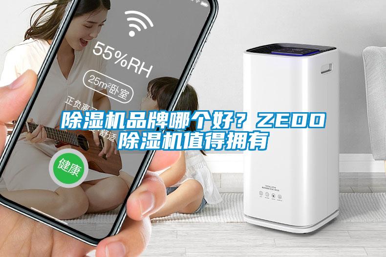 除濕機品牌哪個好？ZEDO除濕機值得擁有