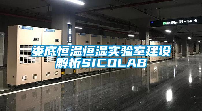 婁底恒溫恒濕實驗室建設解析SICOLAB