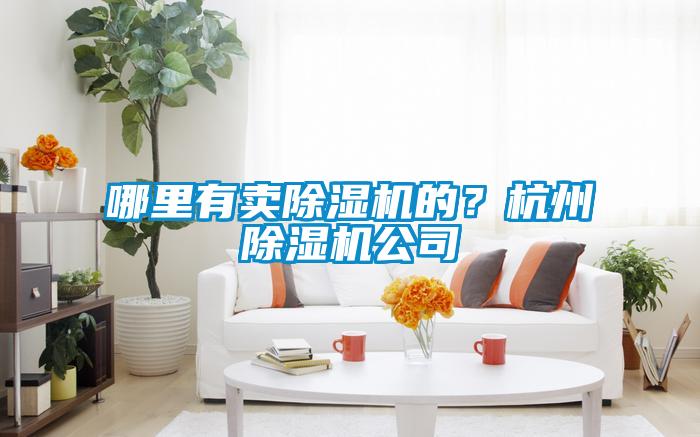 哪里有賣除濕機的？杭州除濕機公司