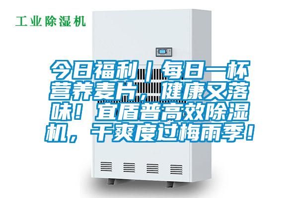 今日福利｜每日一杯營養(yǎng)麥片，健康又落味！宜盾普高效除濕機(jī)，干爽度過梅雨季！