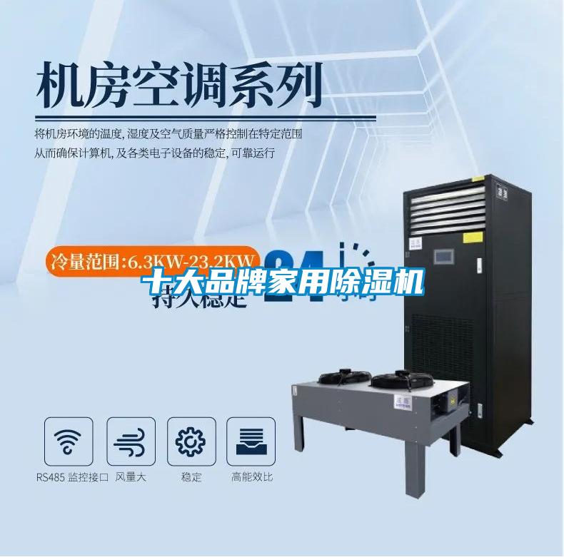 十大品牌家用除濕機