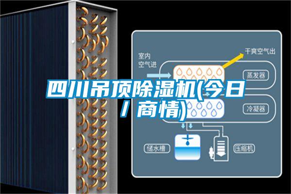 四川吊頂除濕機(今日／商情)