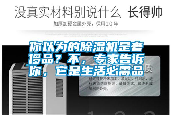 你以為的除濕機是奢侈品？不，專家告訴你，它是生活必需品