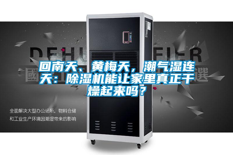 回南天、黃梅天，潮氣濕連天：除濕機(jī)能讓家里真正干燥起來(lái)嗎？