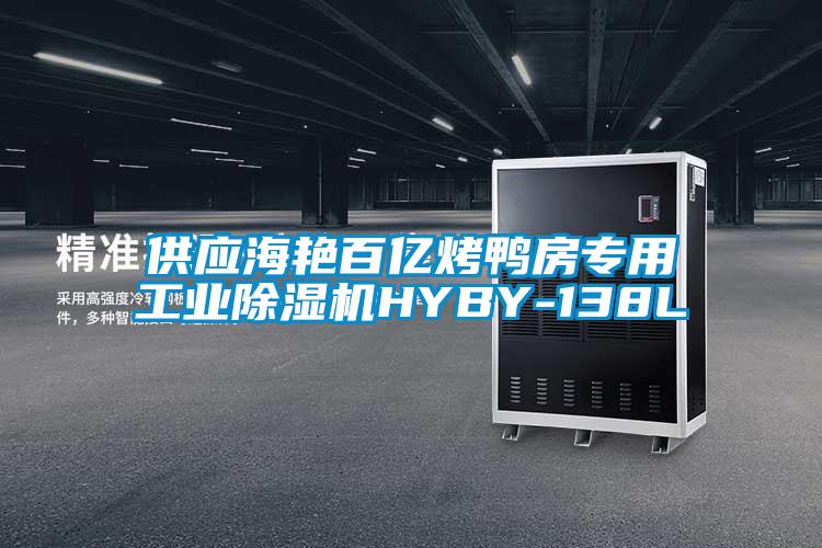供應海艷百億烤鴨房專用工業(yè)除濕機HYBY-138L