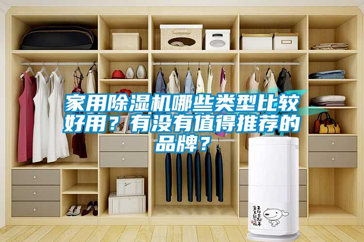 家用除濕機哪些類型比較好用？有沒有值得推薦的品牌？