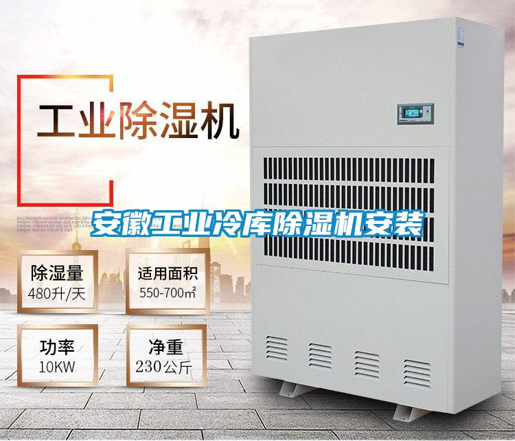 安徽工業(yè)冷庫(kù)除濕機(jī)安裝