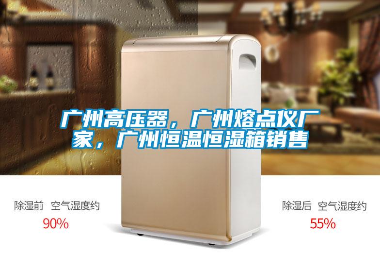廣州高壓器，廣州熔點(diǎn)儀廠家，廣州恒溫恒濕箱銷售