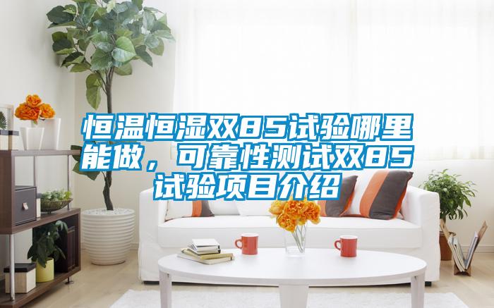 恒溫恒濕雙85試驗哪里能做，可靠性測試雙85試驗項目介紹