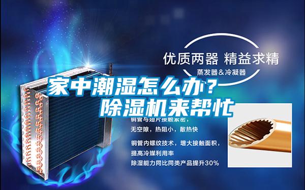 家中潮濕怎么辦？    除濕機來幫忙