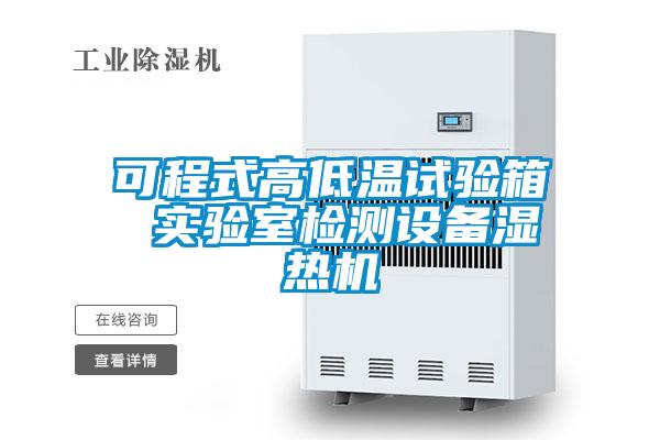 可程式高低溫試驗箱 實驗室檢測設(shè)備濕熱機