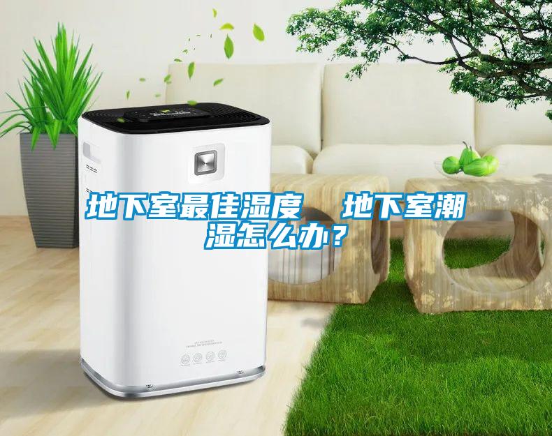 地下室最佳濕度  地下室潮濕怎么辦？